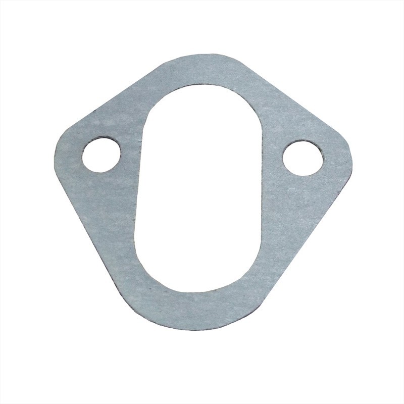 Fuel Pump Gasket